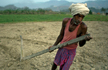 Achche din? 26 per cent rise in farmers’ suicide in 2014